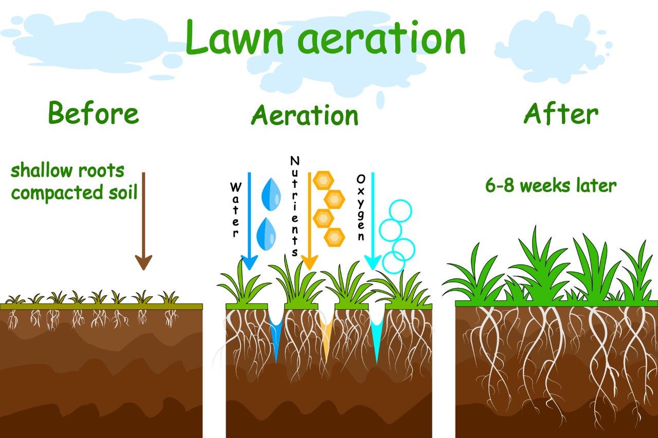 Lawn coring shop
